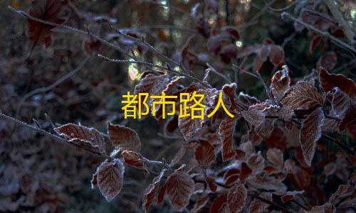 地铁逃生直装ikun悬浮窗都市路人